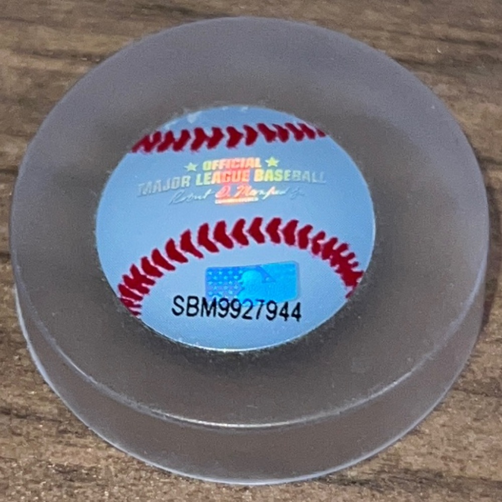 Houston Astros Commemorative 2017 World Series Champions Ring - Picture 8 of 11
